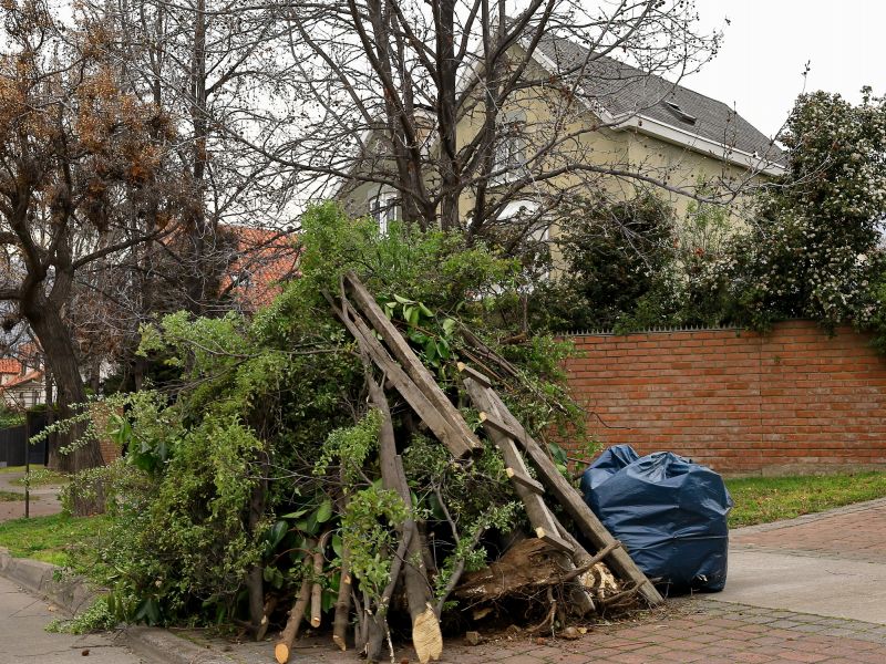 Yard Debris Removal Service