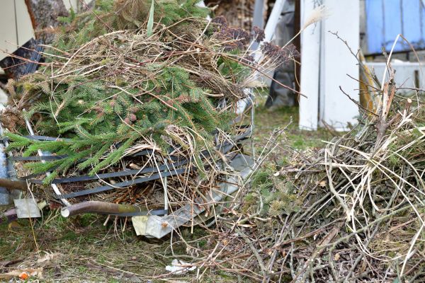 Grow your Yard Waste Removal business