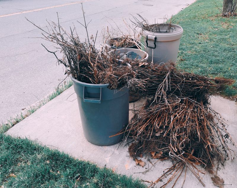 yard waste removal