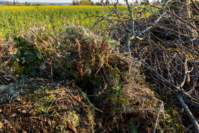 Volume of Yard Waste