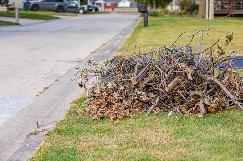 Yard Waste Removal
